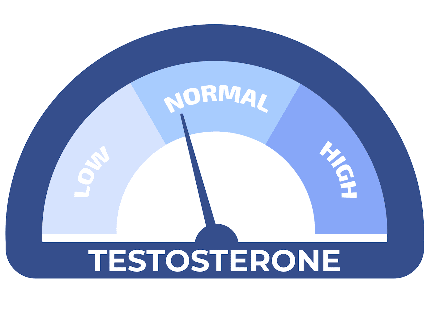 BDSM porno syujeti Tailand transseksual porno